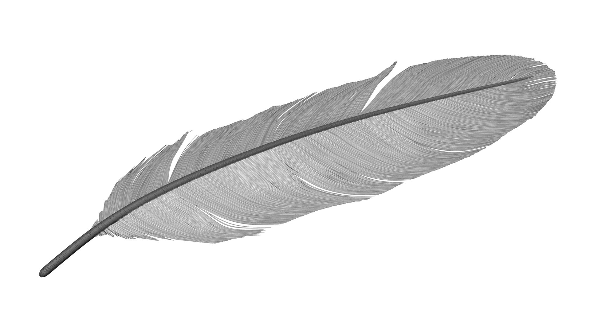 3D Crow Feather https://p.turbosquid.com/ts-thumb/vl/Y2oVu4/LY/0032/jpg/1659428599/1920x1080/fit_q87/40e621c547533765f9f836930f1a6386f7d031ed/0032.jpg