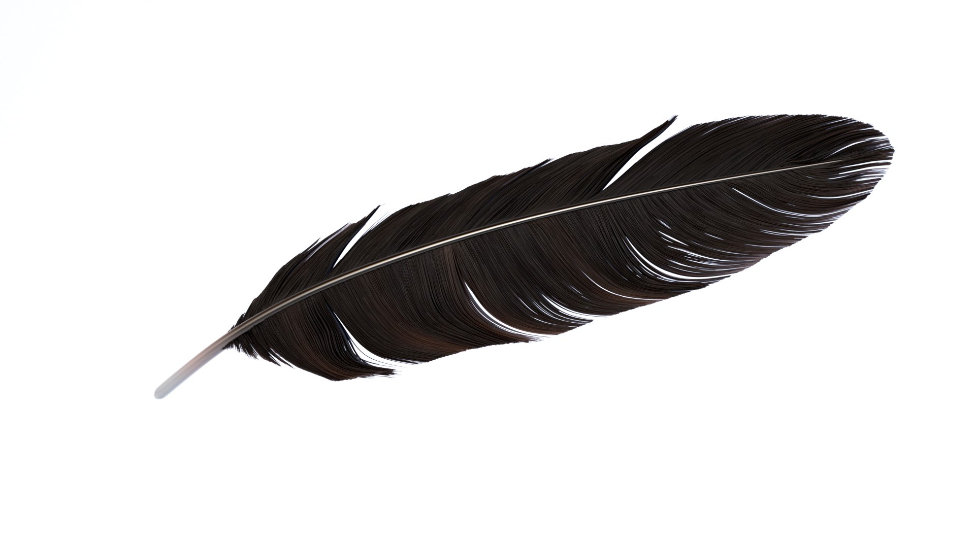 3D Crow Feather https://p.turbosquid.com/ts-thumb/vl/Y2oVu4/M2/0017/jpg/1659428559/1920x1080/fit_q87/133e1fa546d062dadbcfb3e6d2a1305aaae61bf0/0017.jpg