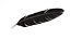 Crow Feather