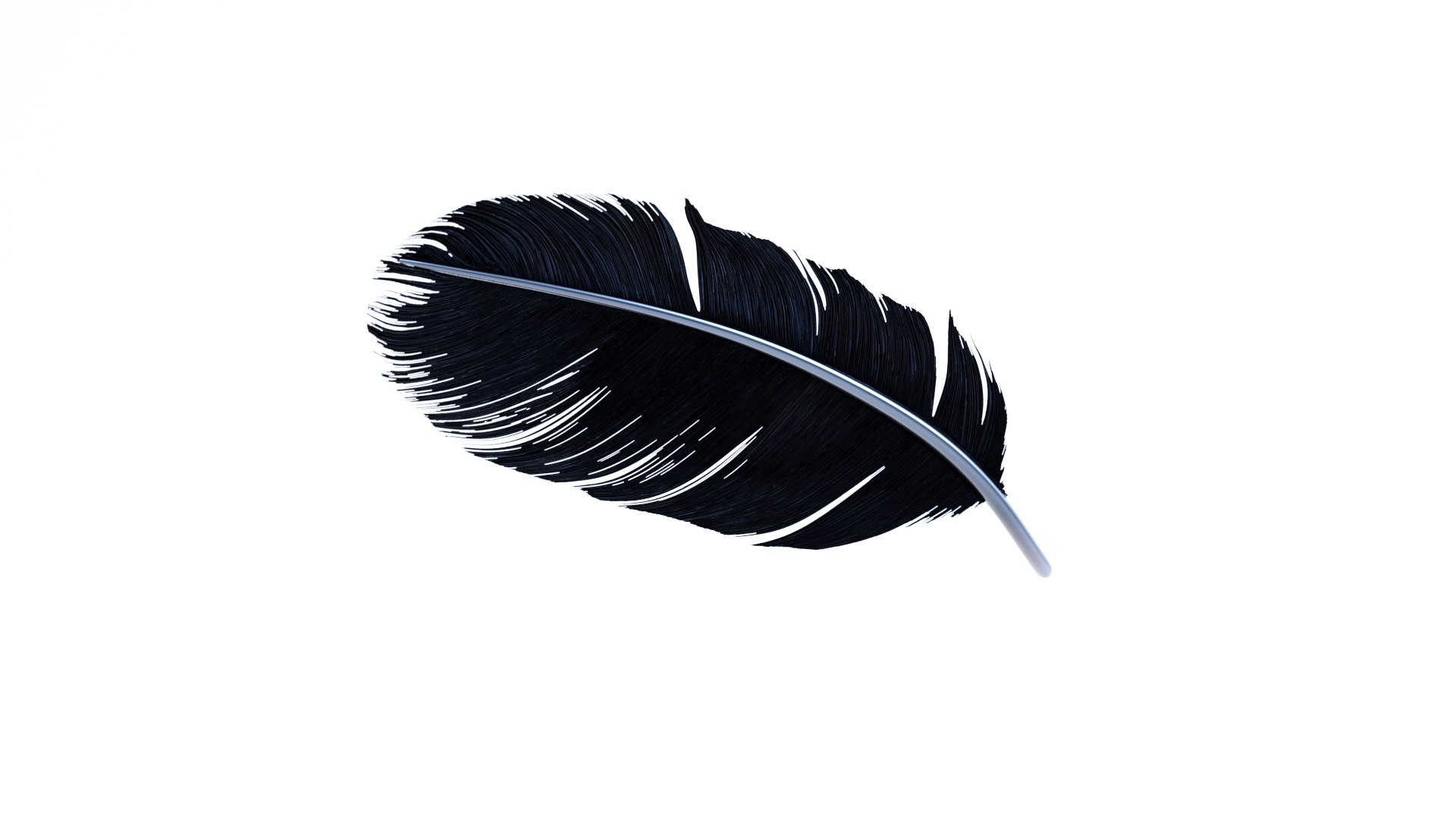 3D Crow Feather https://p.turbosquid.com/ts-thumb/vl/Y2oVu4/RB/0003/jpg/1659428526/1920x1080/fit_q87/a43d042a1463b6bd809c2f3d3b5e3782e8485993/0003.jpg