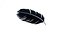 Crow Feather