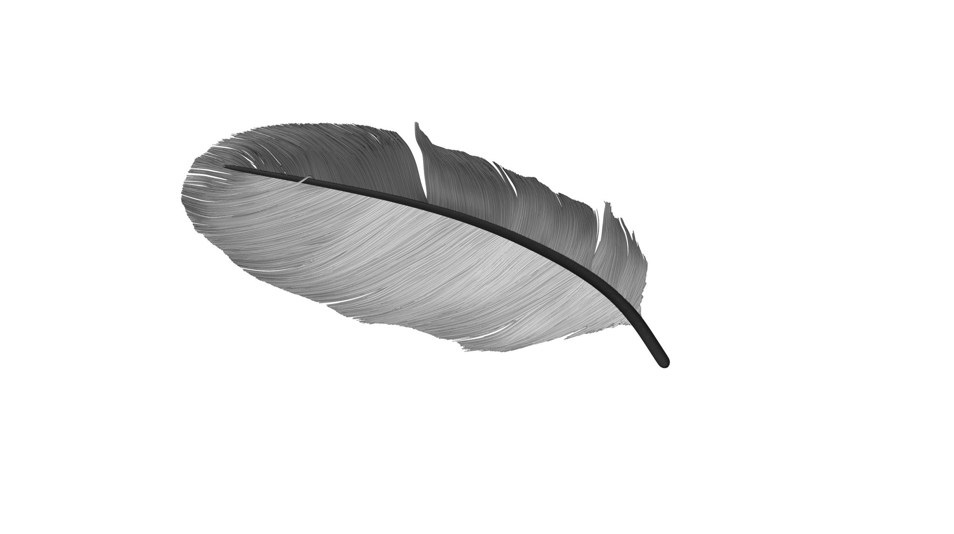 3D Crow Feather https://p.turbosquid.com/ts-thumb/vl/Y2oVu4/T7/0027/jpg/1659428581/1920x1080/fit_q87/fa3512e278762163c9f1af4e5c1fc791590aaeff/0027.jpg