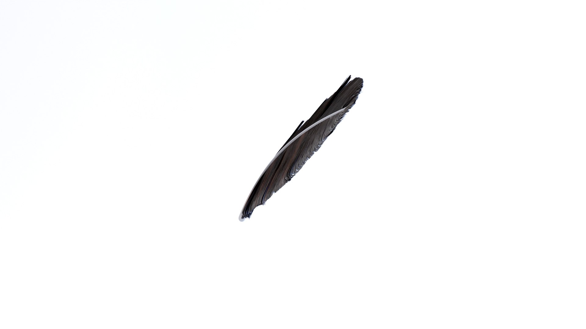 3D Crow Feather https://p.turbosquid.com/ts-thumb/vl/Y2oVu4/Wb/0018/jpg/1659428558/1920x1080/fit_q87/0144eaae4a05bf47bbfc56b82f480b2383e89c53/0018.jpg