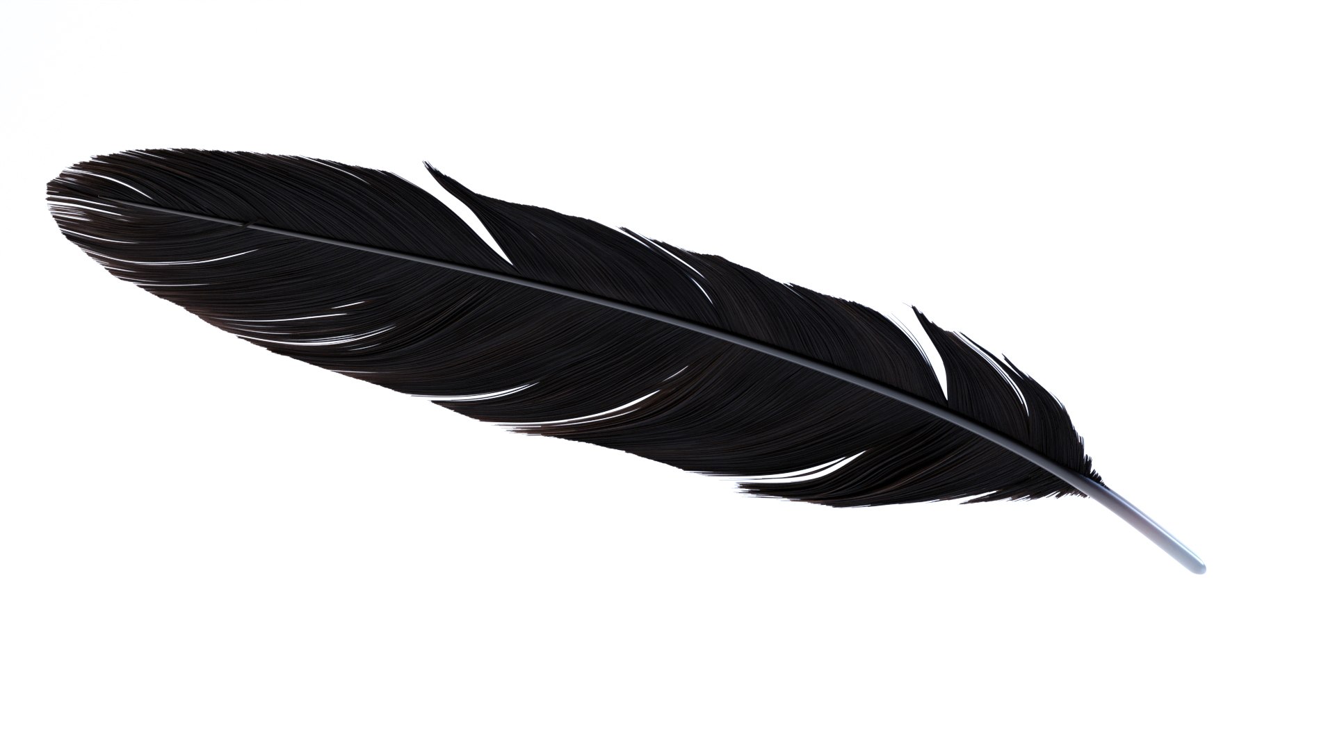 3D Crow Feather https://p.turbosquid.com/ts-thumb/vl/Y2oVu4/Yb/0020/jpg/1659428563/1920x1080/fit_q87/20911c74b8762ab927a8c54a64a03843e9c384c8/0020.jpg