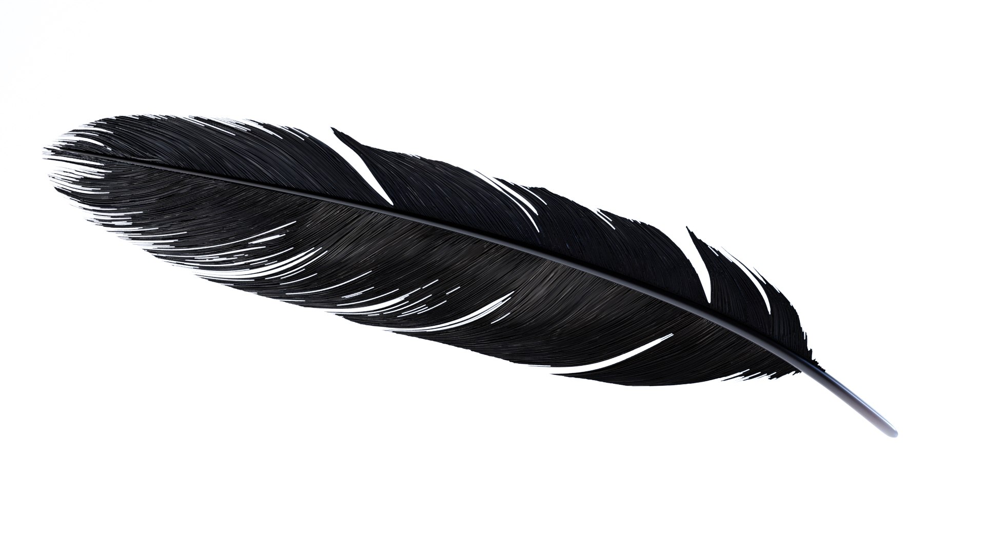 3D Crow Feather https://p.turbosquid.com/ts-thumb/vl/Y2oVu4/gC/0004/jpg/1659428530/1920x1080/fit_q87/962fd35f13573d454131e17e7ca0507f5b5a20ad/0004.jpg