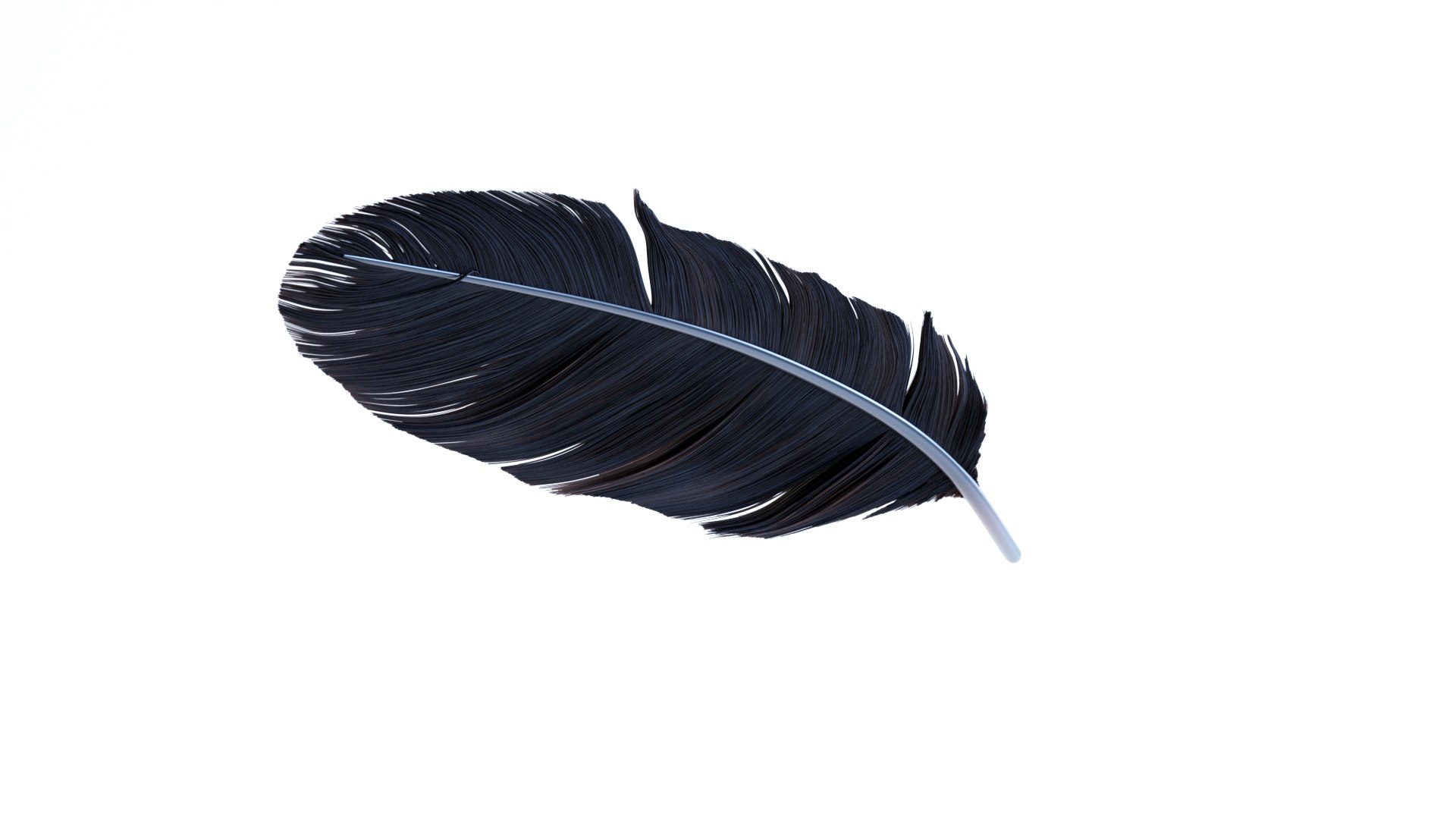 3D Crow Feather https://p.turbosquid.com/ts-thumb/vl/Y2oVu4/jj/0019/jpg/1659428563/1920x1080/fit_q87/7fdf8a29e2e2f59b6dd24c983c251b0592aa2f38/0019.jpg