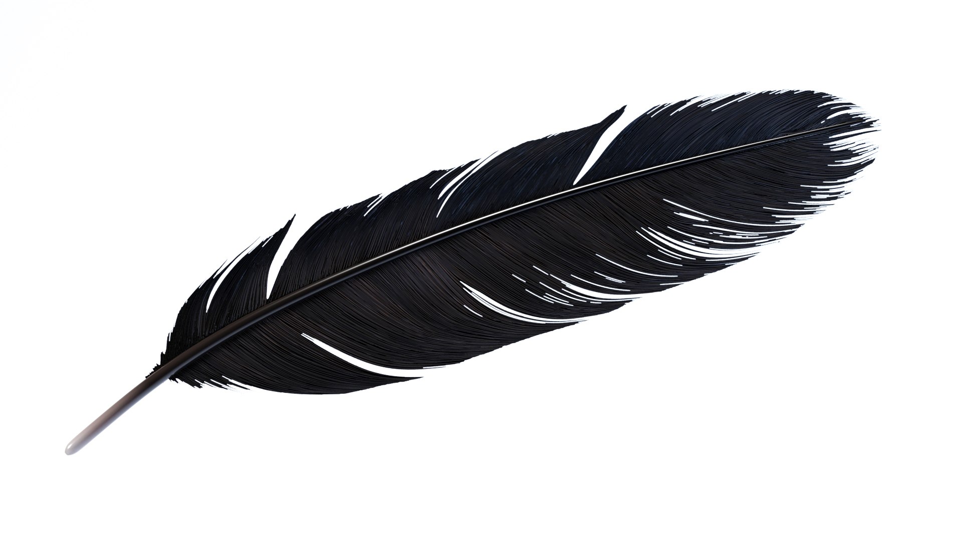 3D Crow Feather https://p.turbosquid.com/ts-thumb/vl/Y2oVu4/li/0008/jpg/1659428539/1920x1080/fit_q87/f0f4ac84c0e4fbb4bae67cf3b60a021967174e55/0008.jpg