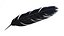 Crow Feather