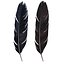 Crow Feather