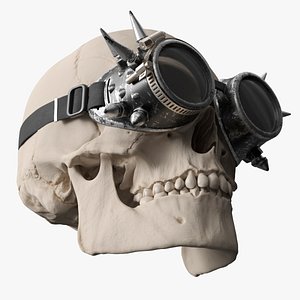 Steampunk Goggles Protective Gear with Skull Silver Old