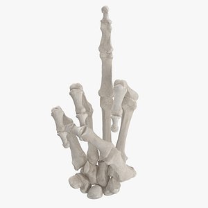 Real Human Hand Bones White Middle Finger Sign