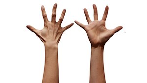 3D Retopologized Hand scan Sarah Itbehah model