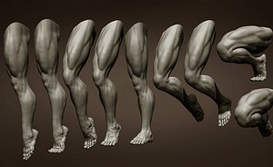 Male leg poses 3D model