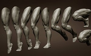 Male leg poses