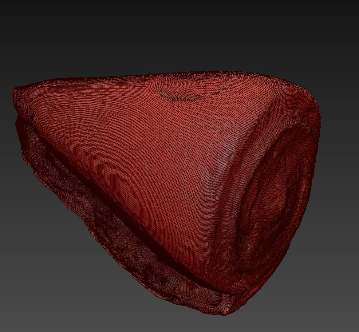 seashell shell 3D https://p.turbosquid.com/ts-thumb/vl/wvNyYi/KuVUZ5mA/7/jpg/1552548414/1920x1080/fit_q87/be8222d8ee1aa5f312a0cfc859de021190794f6e/7.jpg