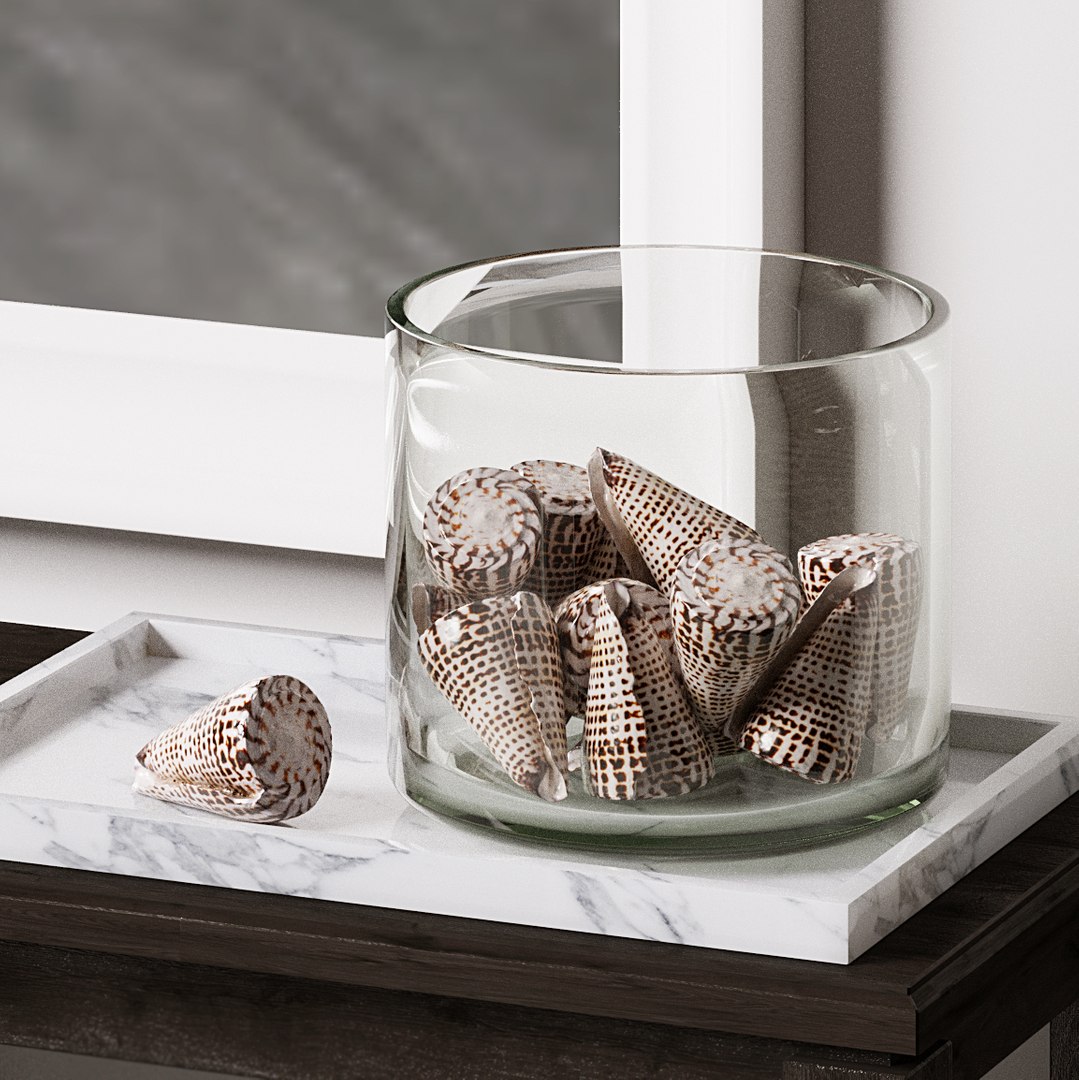 seashell shell 3D https://p.turbosquid.com/ts-thumb/vl/wvNyYi/tLoETT9Y/6/jpg/1552548414/1920x1080/fit_q87/68674fba8ee0efbd4d322e3c2d6b17d346ad9ad3/6.jpg