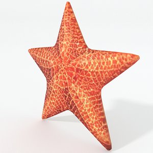 fish star starfish 3D