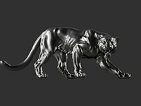 tiger
