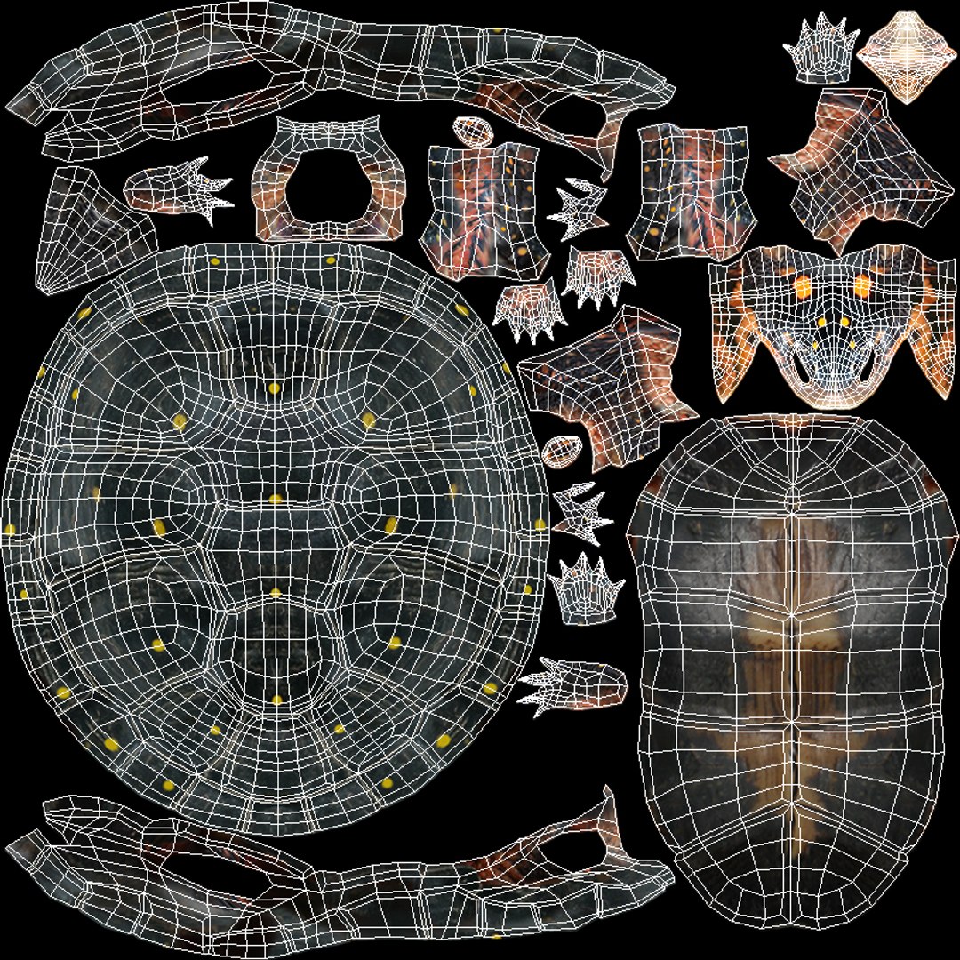turtle reptile 3D https://p.turbosquid.com/ts-thumb/vm/2zLoxq/Cu/t_spottedturtle_uv/jpg/1683723146/1920x1080/fit_q87/bde1171efb2ef91771fe0e7be1411ef71bf096fe/t_spottedturtle_uv.jpg