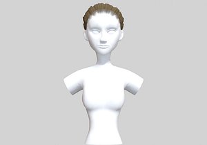 Long Braid Hairstyle