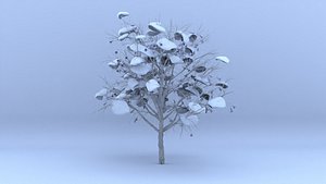 3D model jacaranda winter hight