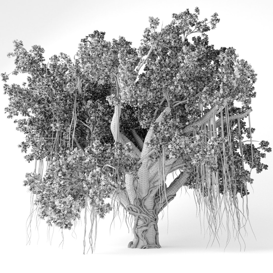 Banyan Tree Model - TurboSquid 1858944