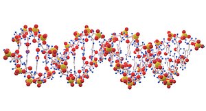 DNA color