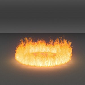 burning flames 11 vdb 3D model