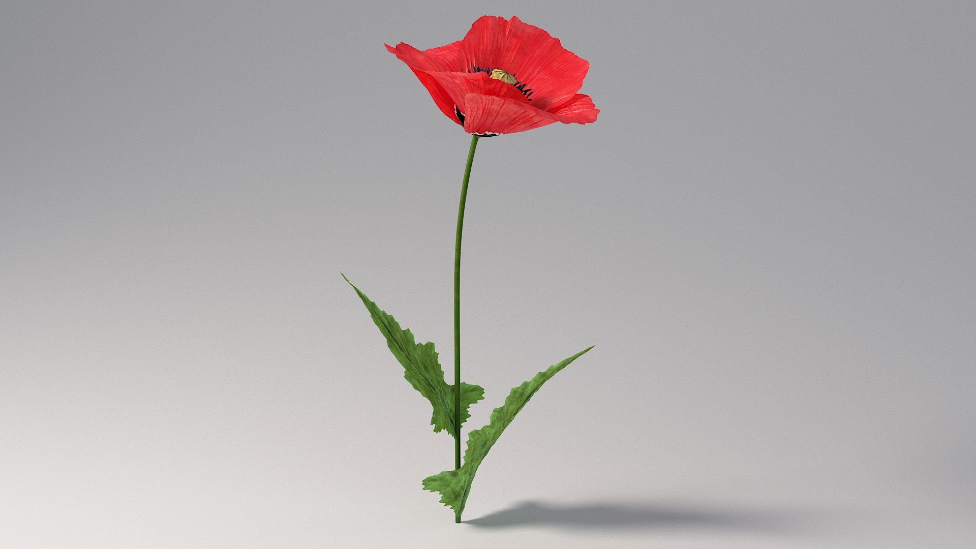 Flowers Bundle 3D https://p.turbosquid.com/ts-thumb/vm/fboZcw/hM/flower_02/jpg/1790243668/1920x1080/fit_q87/99719edc3805cecc3a98542ceb95b4d8643e2e57/flower_02.jpg