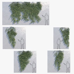 3D ivys wall