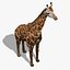 Giraffa (FUR)