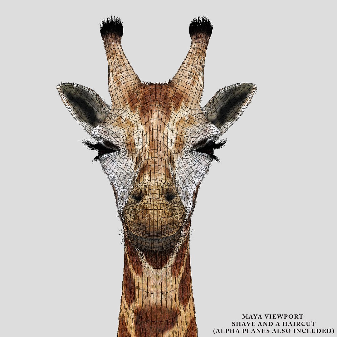 photorealistic giraffe fur 3d obj https://p.turbosquid.com/ts-thumb/vn/5skRv8/BgJeKxrK/13/jpg/1307106608/1920x1080/fit_q87/d2d41d161f23b4769c59053e7e9e119d161872d9/13.jpg