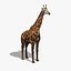 Giraffa (FUR)