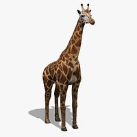 Giraffe (FUR)
