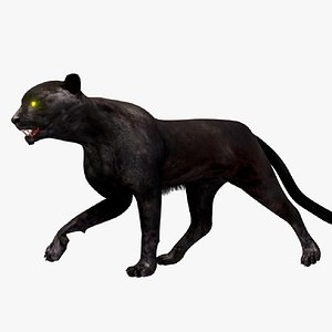 black panther