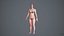 Realistischer menschlicher Frauen-Scan und Anlage - 052FBody 1024