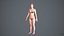Realistischer menschlicher Frauen-Scan und Anlage - 052FBody 1024
