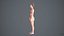 Realistischer menschlicher Frauen-Scan und Anlage - 052FBody 1024