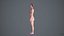 Realistischer menschlicher Frauen-Scan und Anlage - 052FBody 1024