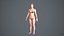 Realistischer menschlicher Frauen-Scan und Anlage - 052FBody 1024
