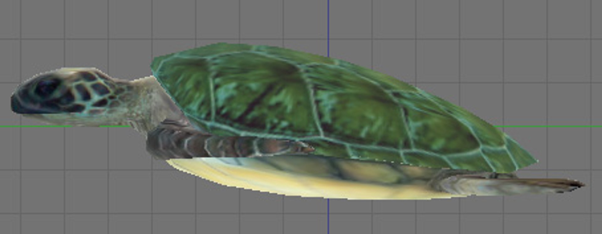 maya green sea turtle
