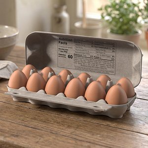 3D Dozen Brown Eggs in Carton model
