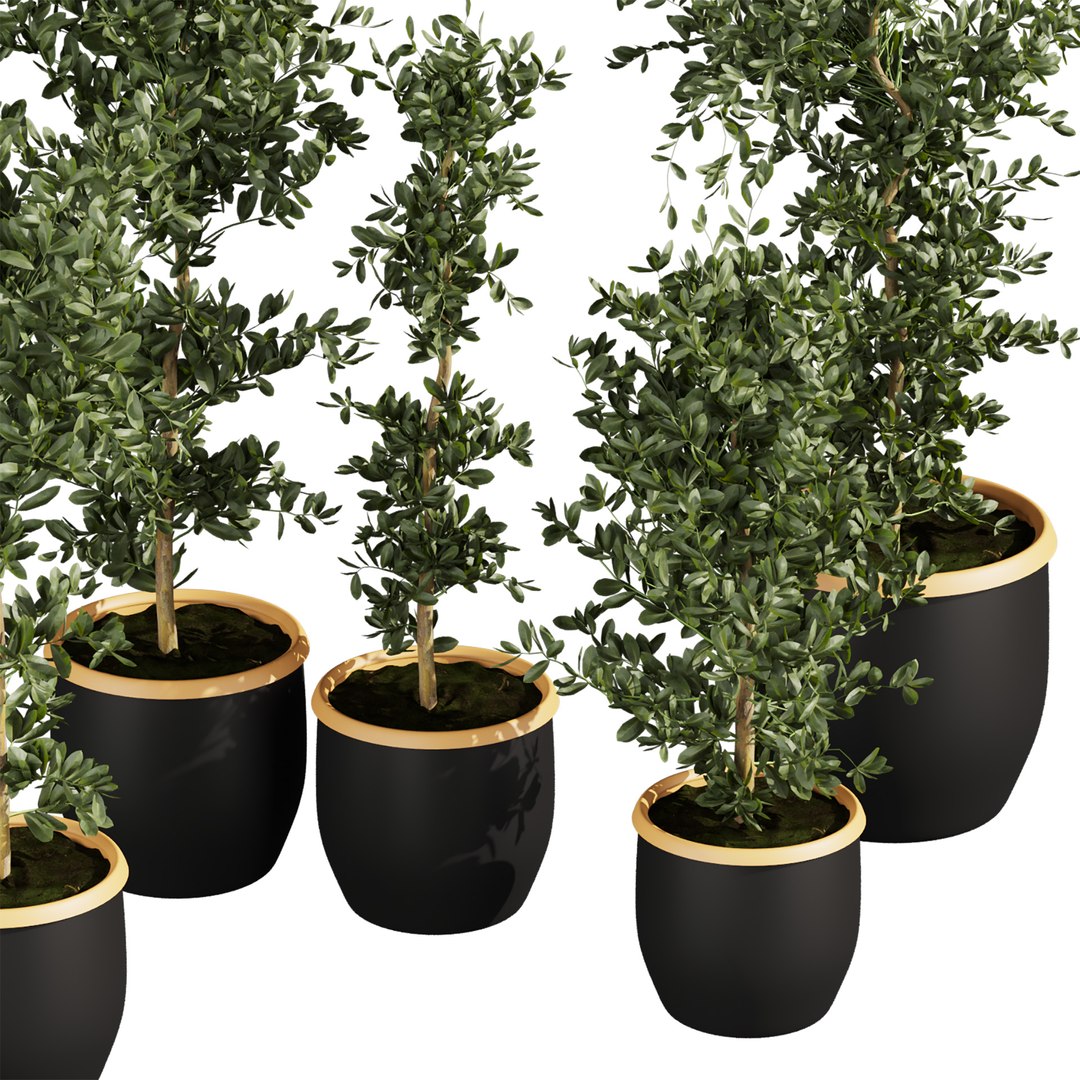 Collection plant vol 666 - indoor - ficus - leaf 3D model https://p.turbosquid.com/ts-thumb/vn/RImCp9/GU/5/jpg/1762711590/1920x1080/fit_q87/175123186ed978d75b4707347c624347c2d65dbf/5.jpg
