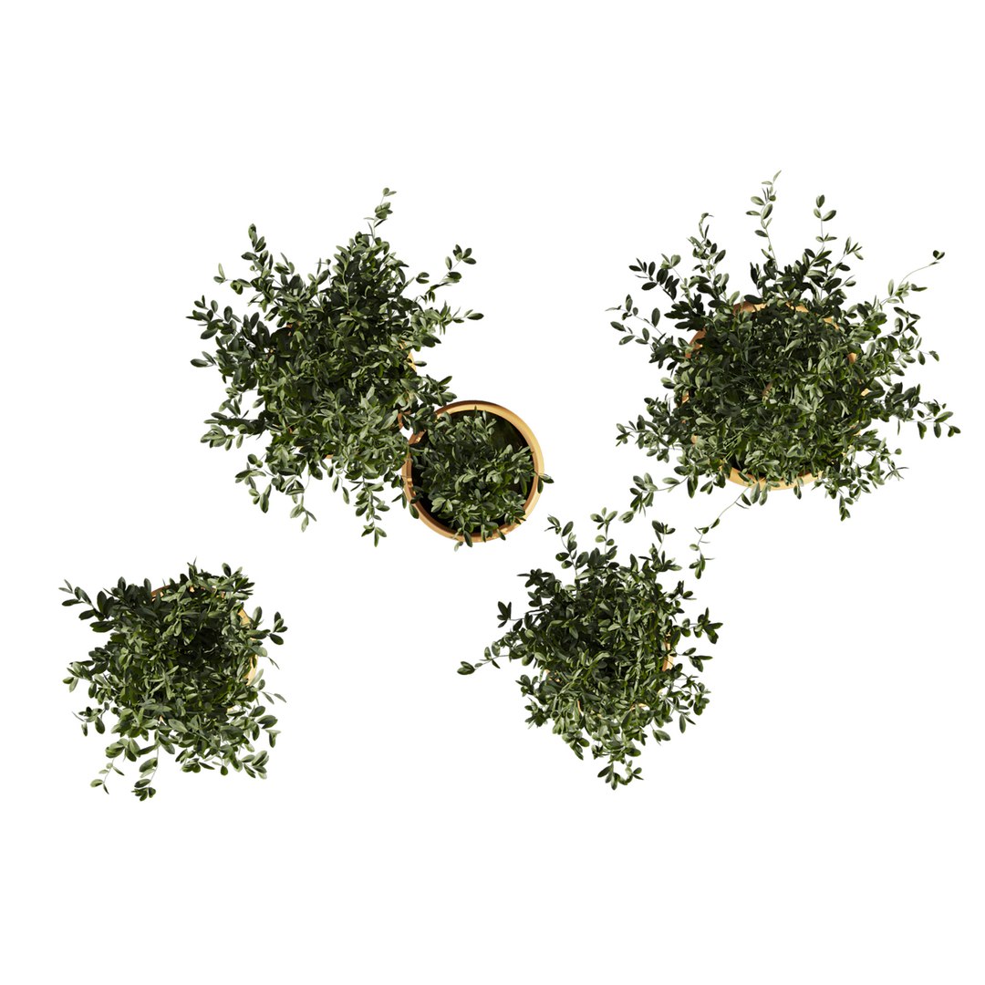 Collection plant vol 666 - indoor - ficus - leaf 3D model https://p.turbosquid.com/ts-thumb/vn/RImCp9/j4/4/jpg/1762711589/1920x1080/fit_q87/93bfa92150e711ff44066794634c62e561df6778/4.jpg