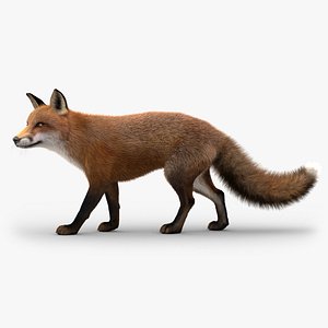 Fox (2) (Animated) (Fur)