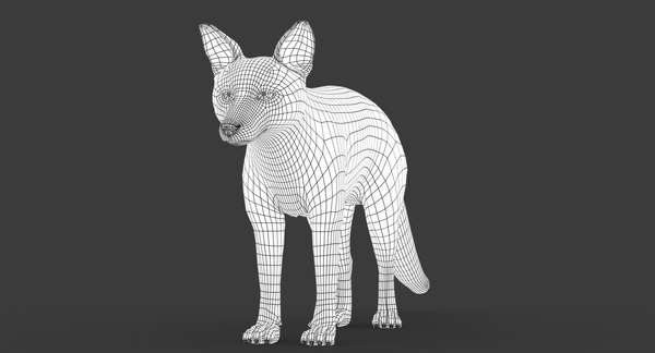 Fox fur animation 3D model - TurboSquid 1214960