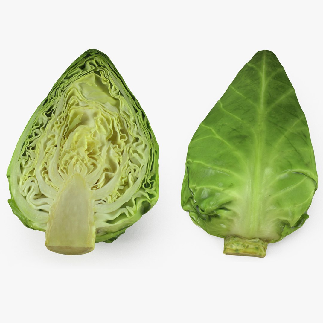 Sweetheart Cabbage Half 3D Model 3D model preview
