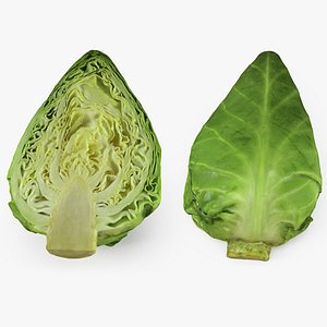 sweetheart cabbage half 3D model