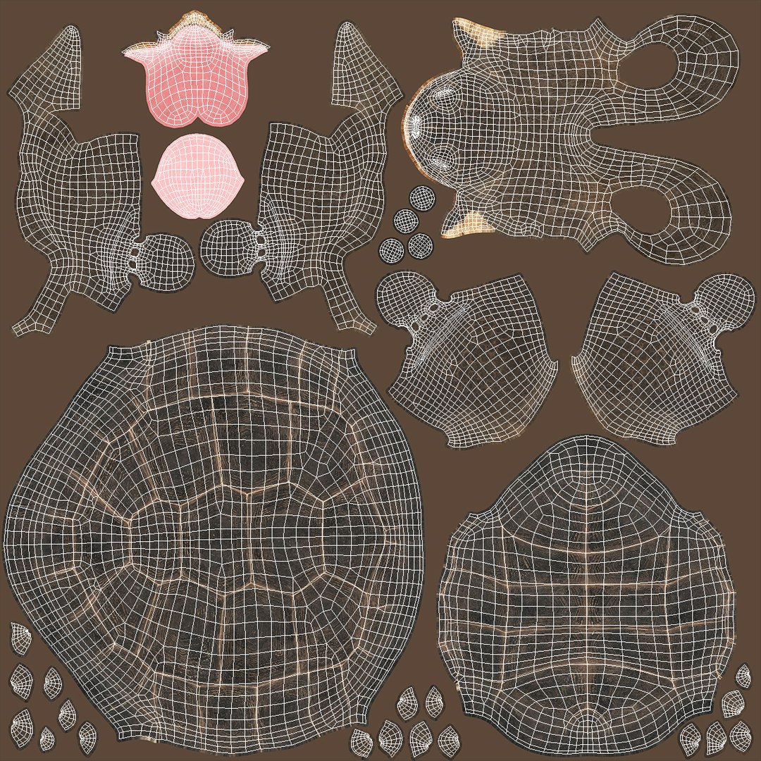 Turtle Chelonoidis Niger Set Animated Rigged 3D model https://p.turbosquid.com/ts-thumb/vo/1XNrT3/6Q/turtle_chelonoidis_niger_set_animated_rigged_016/jpg/1776215730/1920x1080/fit_q87/a098d6e49d7e6619fa05c7a36752d46502288de5/turtle_chelonoidis_niger_set_animated_rigged_016.jpg