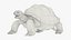 Turtle Chelonoidis Niger Set Animated Rigged